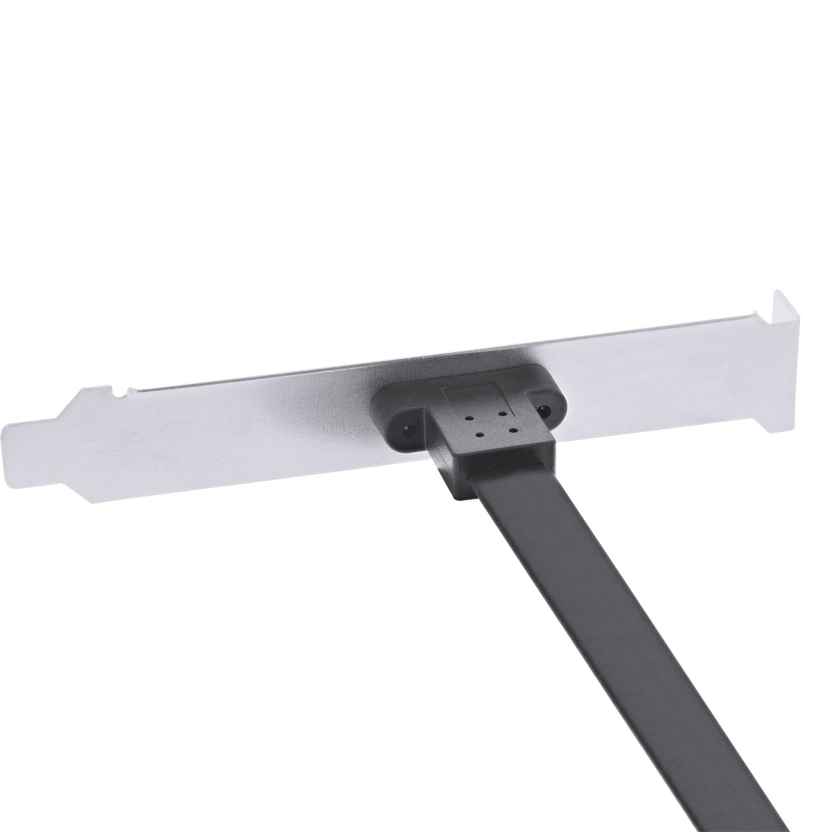 Inline Slot Bracket Usb Type-C A Usb 3.1 Panel Frontal Key-A Internal, 0.5m