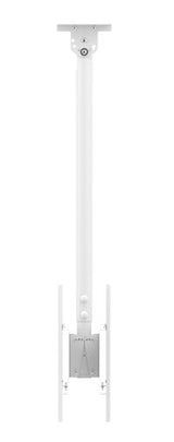Func Ceiling Lp Medium Single  White