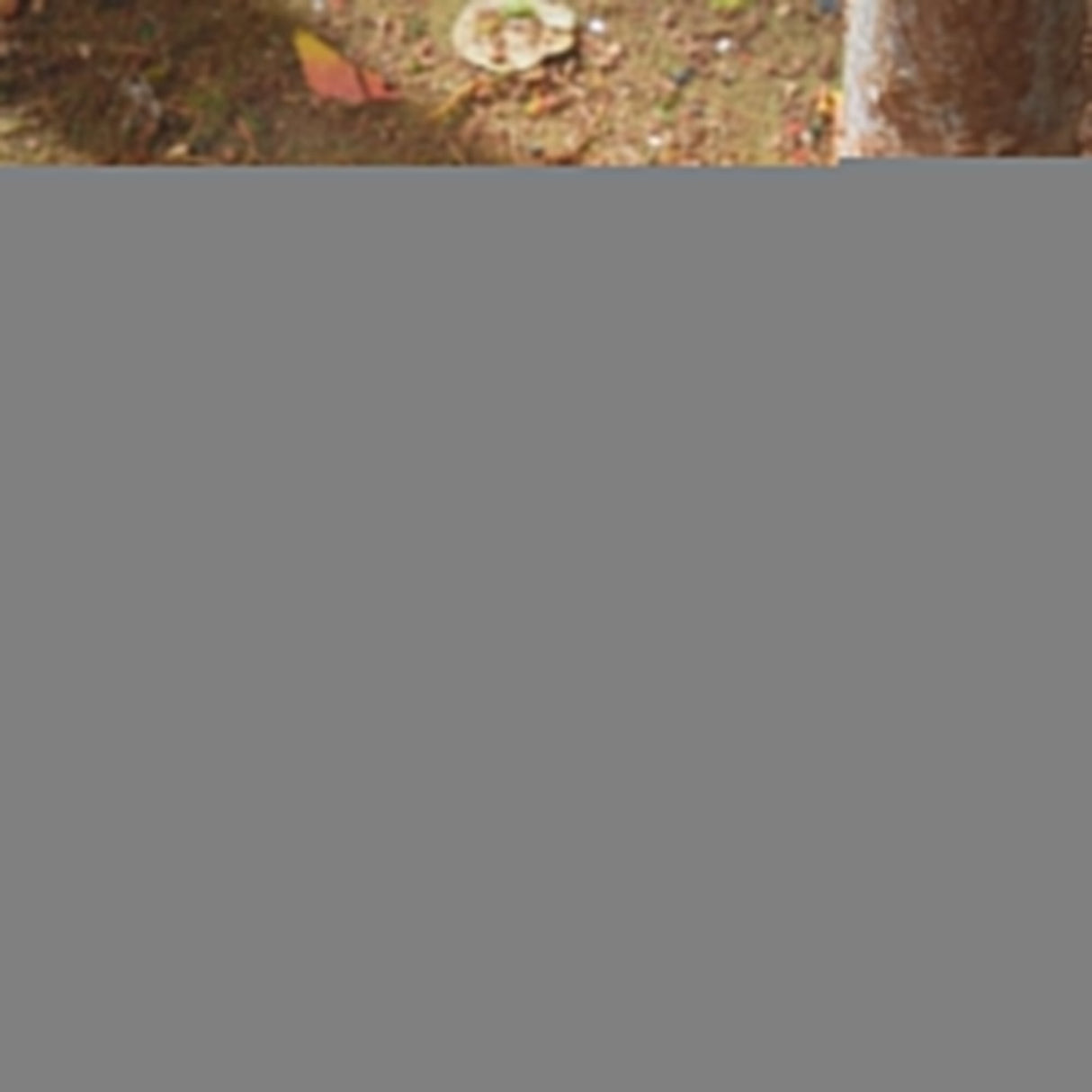 Figura Hasbro Dungeons & Dragons :Honor Among Thieves Simon