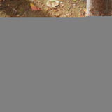 Figura Hasbro Dungeons & Dragons :Honor Among Thieves Simon