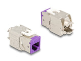 EAN 4043619881215 - DeLOCK 88121 módulo de conector de red imagen 2