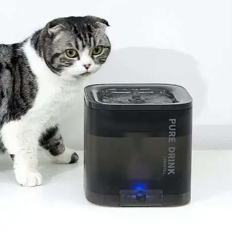 EAN 6975069300764 - PETKIT EverSweet Solo SE comedero y bebedero para perro y gato Acrilonitrilo butadieno estireno (ABS) Gri imagen 4