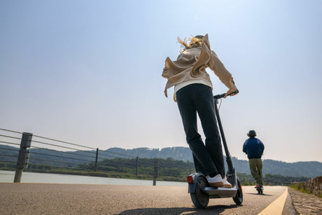 EAN 8720254406756 - Ninebot by Segway E2 Pro Gris 20 kmh imagen 8