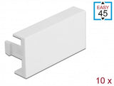 Delock Easy 45 Modul-Blindblende 45 X 22,5 Mm 10 Piezas Blanco
