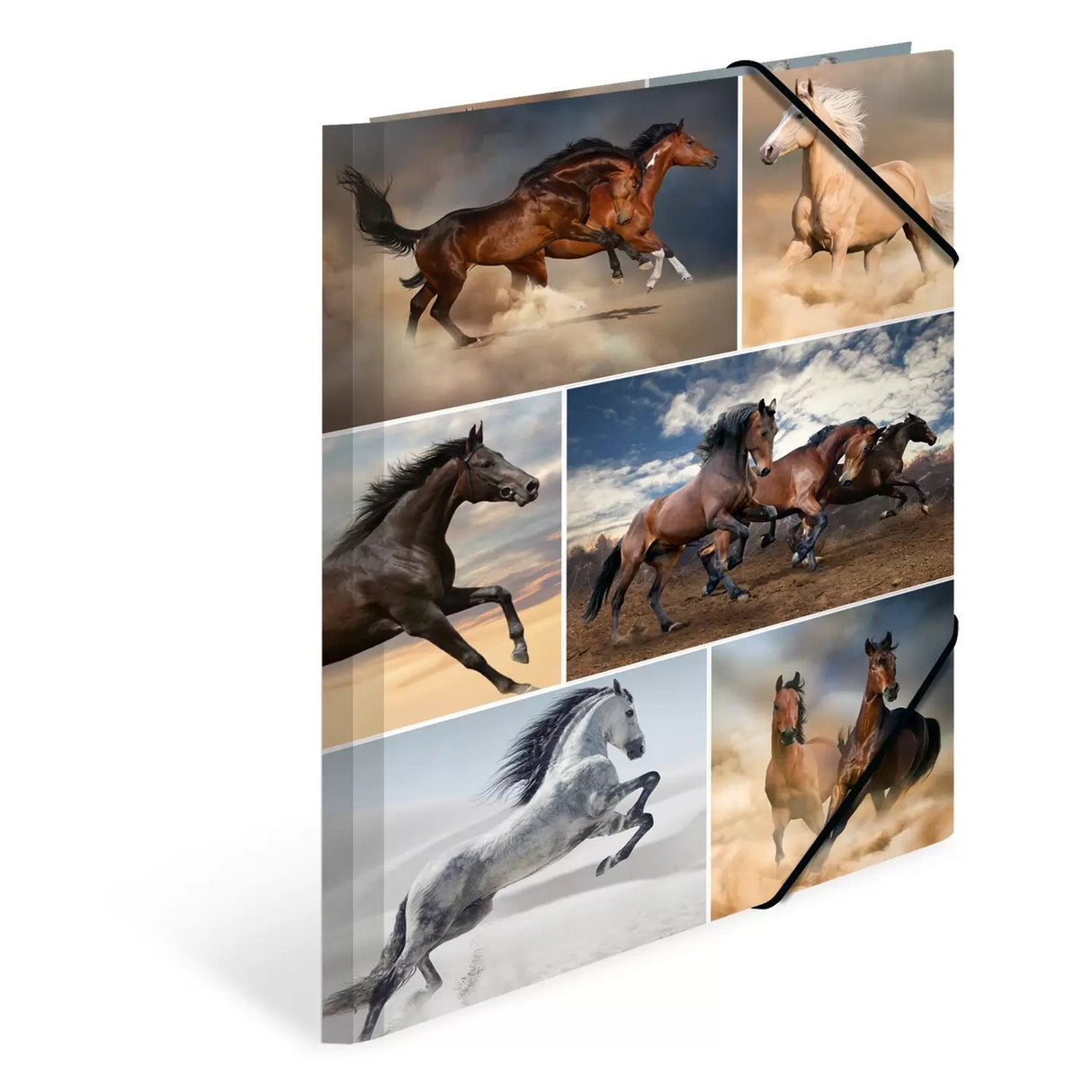 Carpeta Herma A4 Caballos Cartón