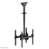 Newstar Soporte De Techo Para Tv