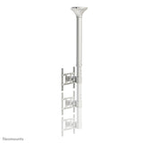 Newstar Soporte De Techo Para Tv