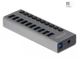 Delock Externer Superspeed Usb Hub Con 10 Puertos + Interruptor