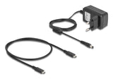 Delock 64300 Usb 20 Gbps M.2 Docking Para 2 X M.2 Nvme Pcie Ssd Con Función De Clonación Y Borrado