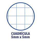 EAN 8412771083021 - Oxford Europeanbook 1 cuaderno y block A4 80 hojas Púrpura imagen 3