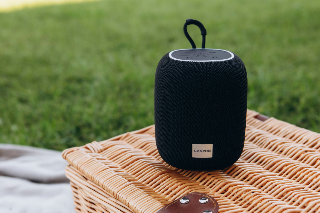 Canyon Bluetooth Speaker Bsp-8 Tf Reader Usb-C 10w Negro Retail