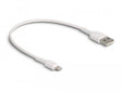 EAN 4043619878666 - DeLOCK 87866 cable de conector Lightning 0,3 m imagen 1