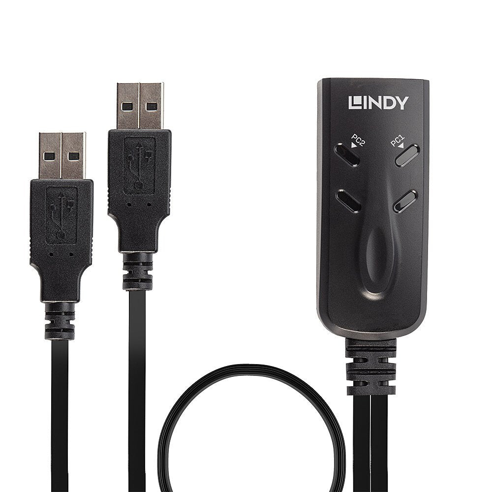 Lindy 32165 Interruptor Kvm Negro