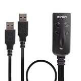 Lindy 32165 Interruptor Kvm Negro