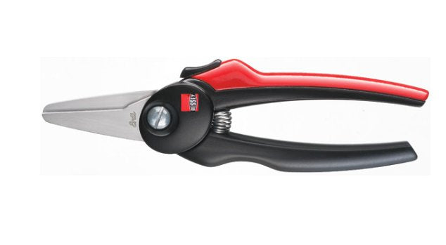 EAN 4010220030172 - BESSEY D47-2 recorte Derecho Acero inoxidable imagen 1