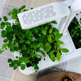 Véritable Classic Selbstversorgender Indoor-Garten
