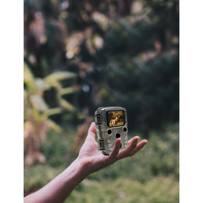 Braun Scouting Cam Black800 Mini Camara