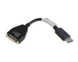 EAN 5704327742418 - Lenovo 43N9160 DVI-D DisplayPort Negro imagen 1