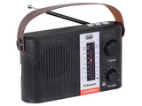 Radio Bluetooth Portable Solar  Usb Micro Sd Tws Trevi Ra 7f25 Bt