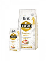 EAN 8595602530731 - Brit Fresh 12 kg Adulto Manzana, Trigo sarraceno, Pollo, Patata imagen 1