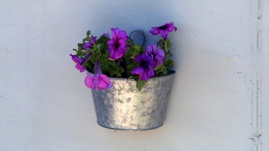 EAN 4046719732241 - Scotch PT1100-1915-P 1,5 m Cinta de montaje imagen 5