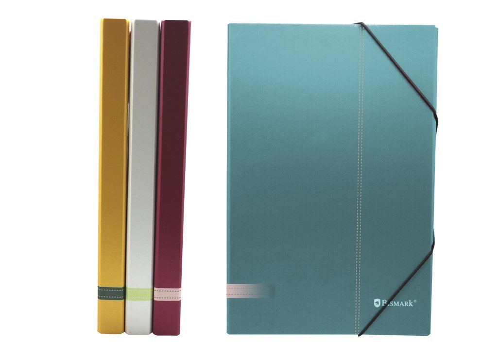 Bismark Carpeta Para Proyectos - Medidas 350x230x30mm - Fabricada En Carton - Cierre Con Gomas - Colores Surtidos