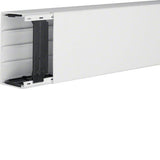 Hager Leitungsfhrungskanal Lf6011009016 Pvc Lf 60x110mm Verkehrswei
