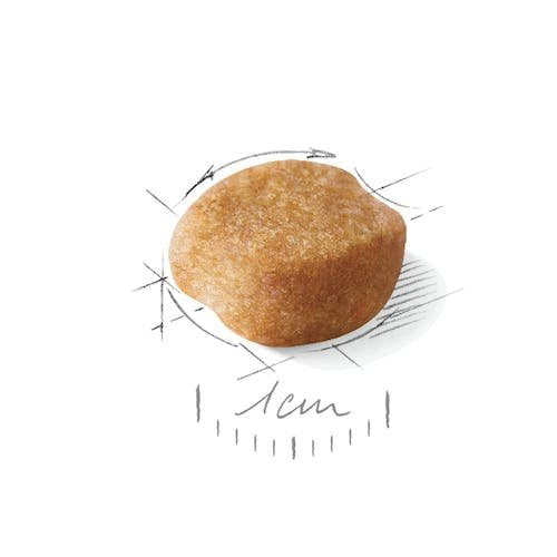 Royal Canin Yorkshire Terrier 8+ 1,5 Kg