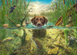 EAN 4001504585723 - Schmidt Spiele 58572 puzzle imagen 1