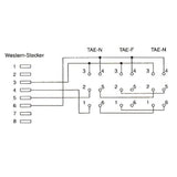 Adaptador Inline Tae Rj45 Macho A Tae Nfn Hembra 20cm