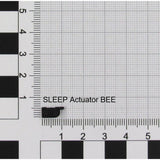 Act/Sleep (K1) Bee