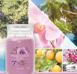Yankee Candle Wild Orchid Vela Cilindro Orquidea Púrpura 1 Pieza(S)