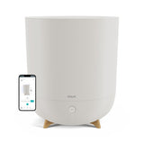 EAN 8716164989755 - Duux Neo Smart humidificador Ultrasónica 5 L Beige 34 W imagen 1