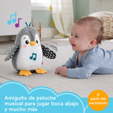 EAN 0194735136742 - Fisher-Price HNC10 juguete de peluche imagen 9