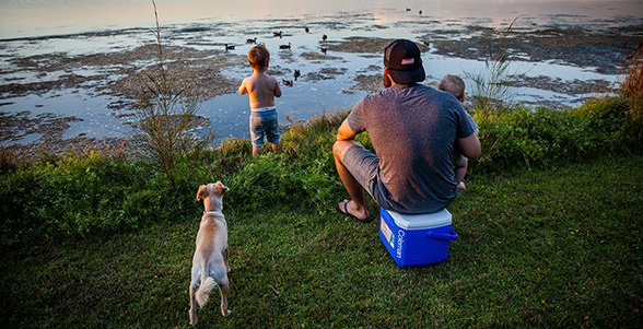 EAN 3138522114985 - Coleman 16QT Tricolour Performance Cooler nevera portátil 15 L Negro, Azul imagen 4