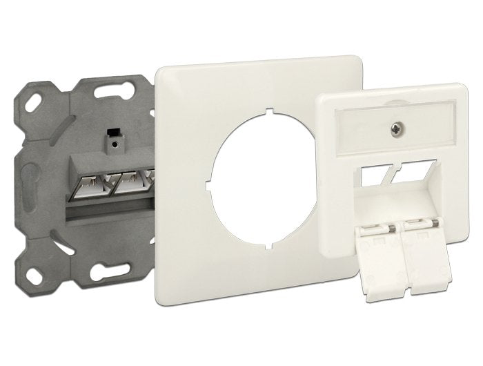 Delock Modular Wall Outlet Flush Mount 2 Port Cat.6a Lsa