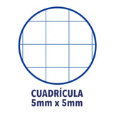 EAN 8412771083007 - Oxford 100430199 cuaderno y block A4 Verde imagen 3