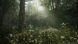 EAN 4012927150849 - Konami Metal Gear Solid Δ: Snake Eater Day One Edition Day One (Primer día) Inglés, Japonés PlayStation 5 imagen 9