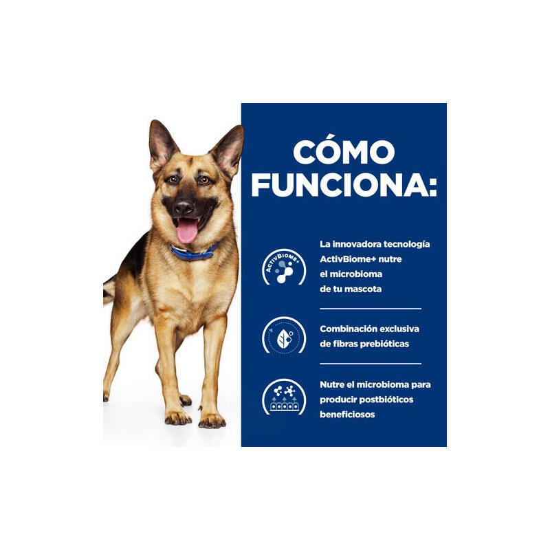 Alimento Seco Para Perros Hill'S Pd Gastrointestinal Biome  10 Kg