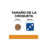 Alimento Seco Para Perros Hill'S Pd K/D Kidney Care Original  4kg