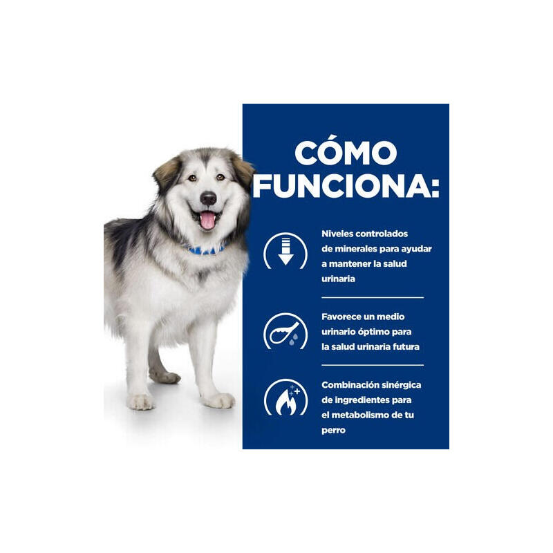 Alimento Seco Para Perros  Hill'S Prescription Diet Canine C/D Multicare + Metabolic 12 Kg