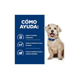 Alimento Seco Para Perros Hill'S Prescription Diet W/D Digestive Weight Diabetes Management  10 Kg