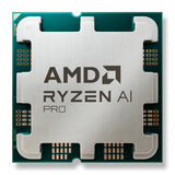 Amd Ryzen 5 Pro 8600g Tray 12 Units