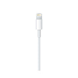 Apple Cable Original Lightning A Usb-A 2.0 1m Blanco Bulk