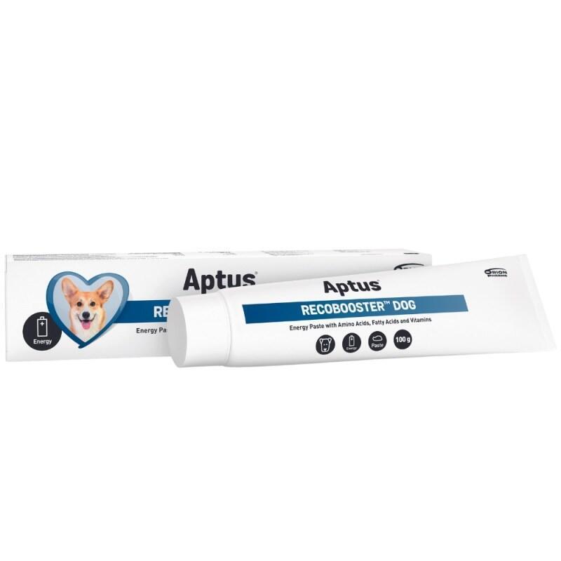 Aptus Recobooster Dog Nutrition And Appetite - Suplementos Para Perros  100 G