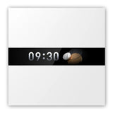 Aqara Display Switch V1