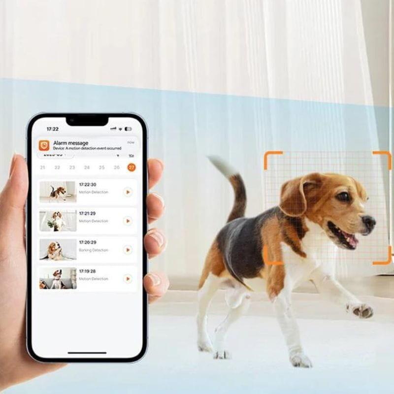 Arenti Petcam1t Indoor Wifi Haustierkamera & Futterspender