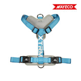 Arnes X-Trm Cronos Neon Flash 35-60x1.5cm Azul Nayeco