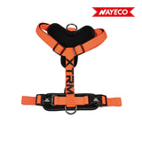 Arnes X-Trm Cronos Neon Flash 35-60x1.5cm Naranja Nayeco