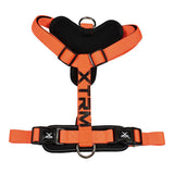 Arnés X-Trm Cronos Neon Flash Naranja, T-M 20 Mm X 46-75 Cm